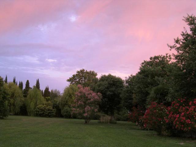 Le Mas De La Chouette Saint-Remy-de-Provence Bagian luar foto
